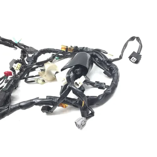 Main Engine Wiring Harness 2022 Kawasaki KLR650 2850A 7