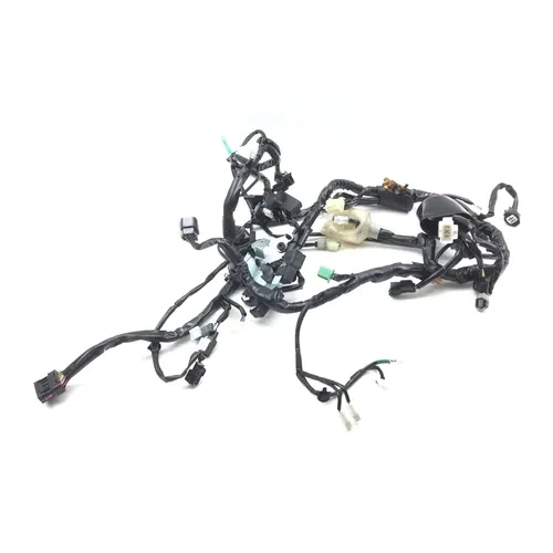 Main Engine Wiring Harness 2022 Kawasaki KLR650 2850A 3