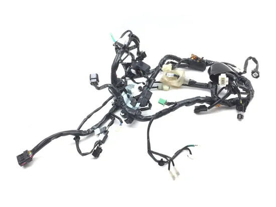 Main Engine Wiring Harness 2022 Kawasaki KLR650 2850A