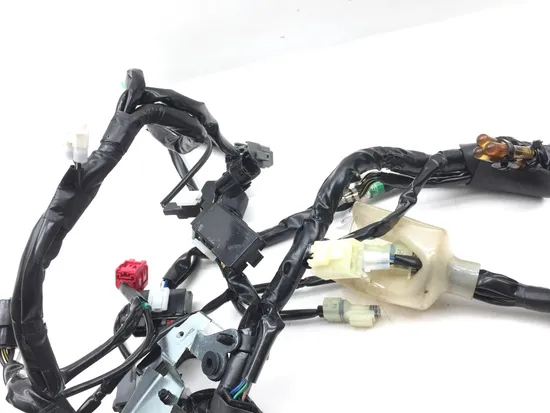 Main Engine Wiring Harness 2022 Kawasaki KLR650 2850A