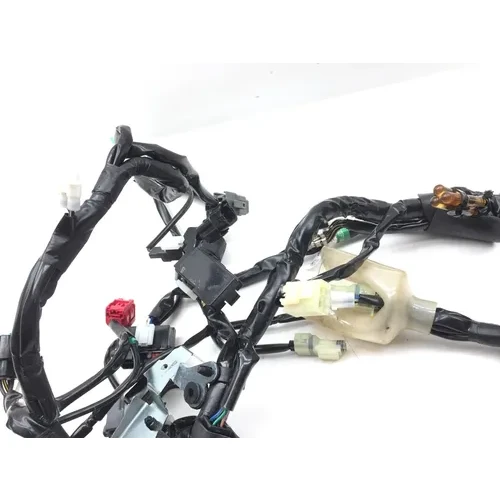 Main Engine Wiring Harness 2022 Kawasaki KLR650 2850A 9