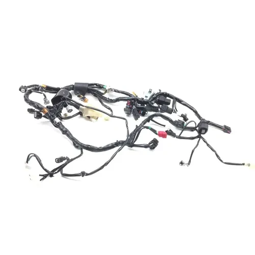 Main Engine Wiring Harness 2022 Kawasaki KLR650 2850A 13