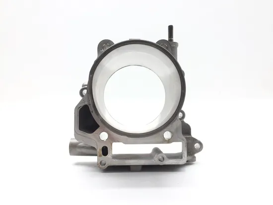 Engine Cylinder Jug W Piston Rear 2016 Can-Am Spyder ST-S SE5 2757A