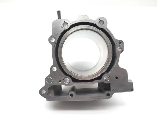 Engine Cylinder Jug W Piston Rear 2016 Can-Am Spyder ST-S SE5 2757A