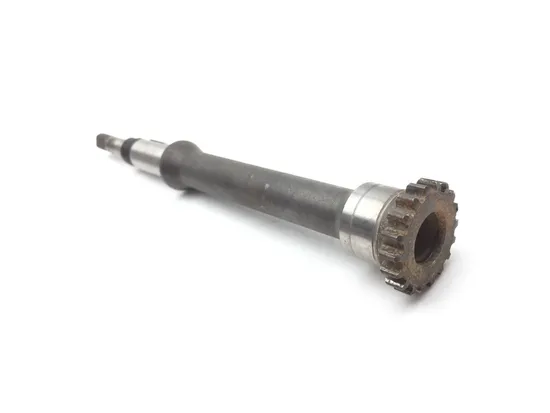 Engine Timing Chain and Guides 2000 Suzuki TL1000S 2845A