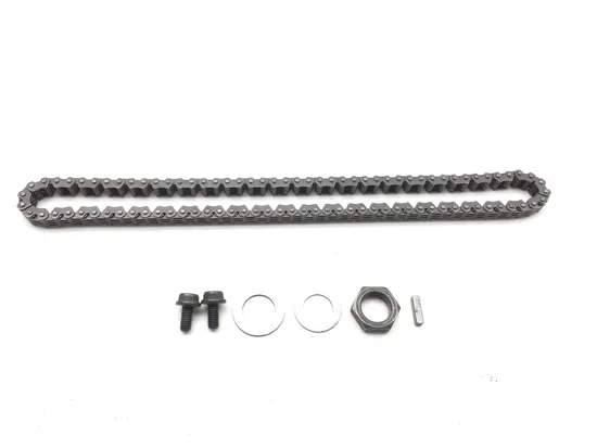 Engine Timing Chain and Guides 2000 Suzuki TL1000S 2845A