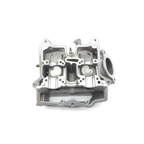 Engine Cylinder Head Complete W Cams Rear 2003 Aprilia ETV1000 Caponord 2844A 19
