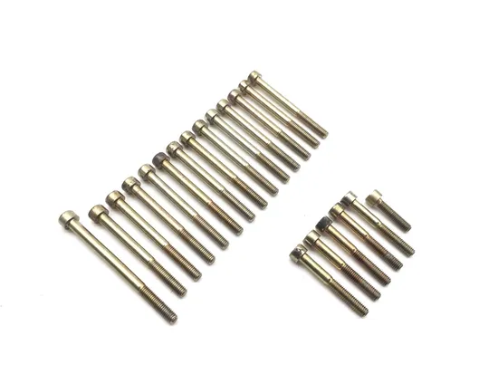 Engine Left Right Center Case Bolts 2003 Aprilia ETV1000 Caponord 2844A