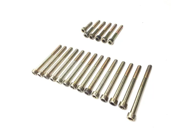 Engine Left Right Center Case Bolts 2003 Aprilia ETV1000 Caponord 2844A