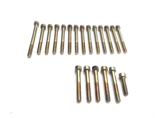 Engine Left Right Center Case Bolts 2003 Aprilia ETV1000 Caponord 2844A