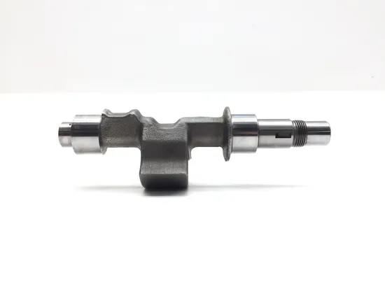 Engine Balancer 2003 Aprilia ETV1000 Caponord 2844A