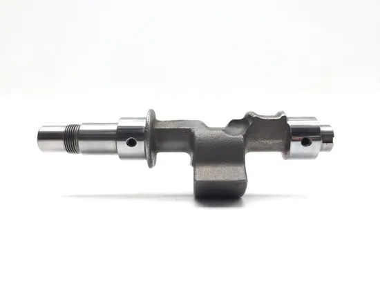 Engine Balancer 2003 Aprilia ETV1000 Caponord 2844A