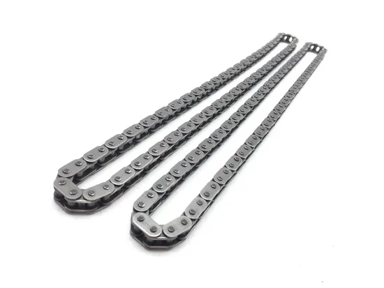 Engine Timing Chain and Guides 2003 Aprilia ETV1000 Caponord 2844A x