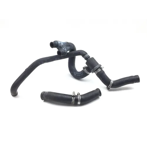 Engine Radiator Cooling Hoses 2003 Aprilia ETV1000 Caponord 2844A 3
