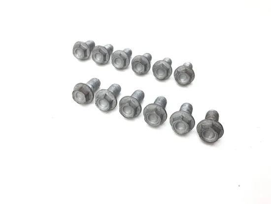 Left Right Front Brake Disc Rotor Bolts 2003 Aprilia ETV1000 Caponord 2844A