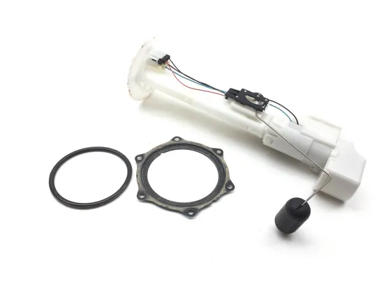 Gas Fuel Tank Pump 2020 Kawasaki Teryx 800 KRF800 2859A