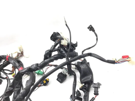 Main Engine Wiring Harness 2003 Aprilia ETV1000 Caponord 2844A