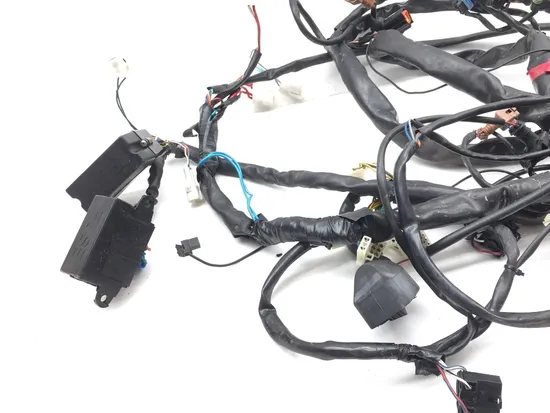 Main Engine Wiring Harness 2003 Aprilia ETV1000 Caponord 2844A