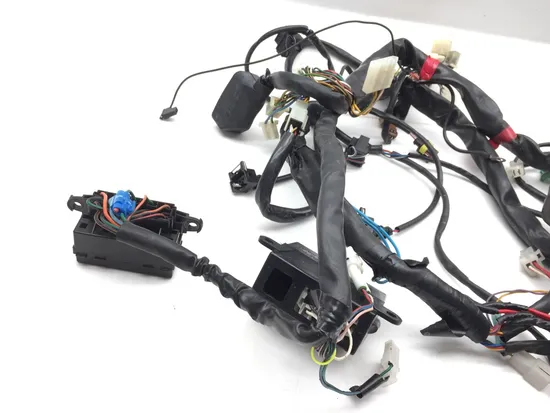 Main Engine Wiring Harness 2003 Aprilia ETV1000 Caponord 2844A