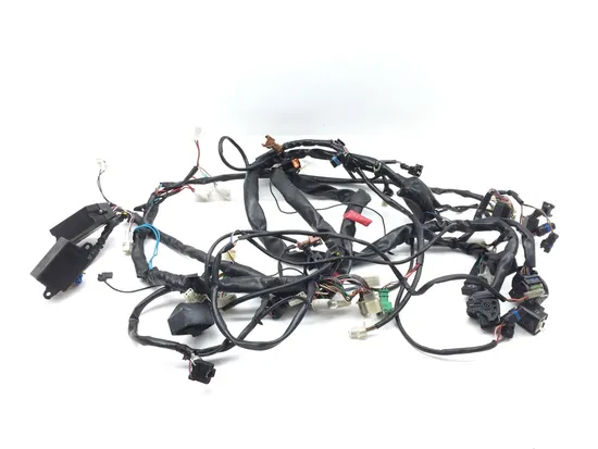 Main Engine Wiring Harness 2003 Aprilia ETV1000 Caponord 2844A