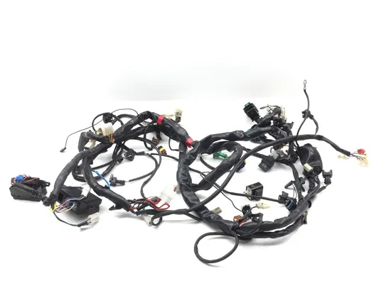 Main Engine Wiring Harness 2003 Aprilia ETV1000 Caponord 2844A