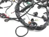 Main Engine Wiring Harness 2003 Aprilia ETV1000 Caponord 2844A
