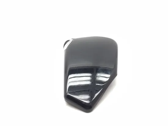 Right Side Cover 2004 Harley-Davidson Sportster 1200 Custom XL1200C 2861A x