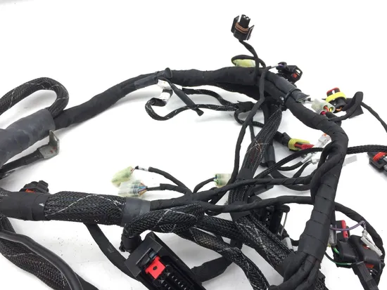 Main Engine Wiring Harness 2017 Ducati Multistrada 950 2866A