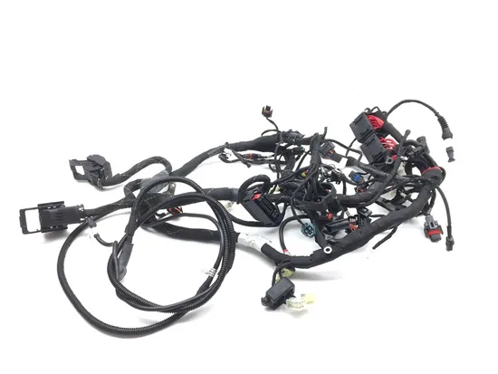 Main Engine Wiring Harness 2017 Ducati Multistrada 950 2866A