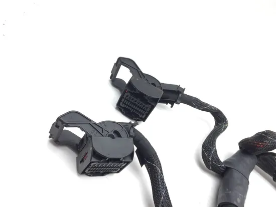 Main Engine Wiring Harness 2017 Ducati Multistrada 950 2866A