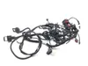 Main Engine Wiring Harness 2017 Ducati Multistrada 950 2866A