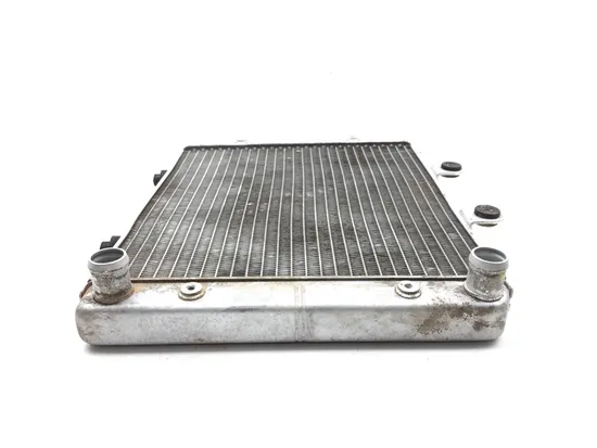 Engine Radiator Cooling 2008 Polaris RZR 800 EFI 2822A x