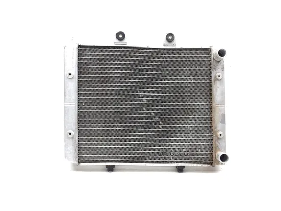 Engine Radiator Cooling 2008 Polaris RZR 800 EFI 2822A x