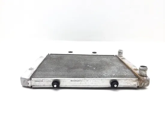 Engine Radiator Cooling 2008 Polaris RZR 800 EFI 2822A x