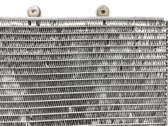 Engine Radiator Cooling 2008 Polaris RZR 800 EFI 2822A x