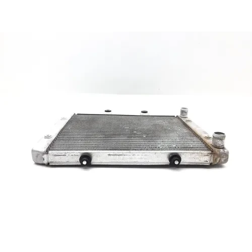 Engine Radiator Cooling 2008 Polaris RZR 800 EFI 2822A x 9
