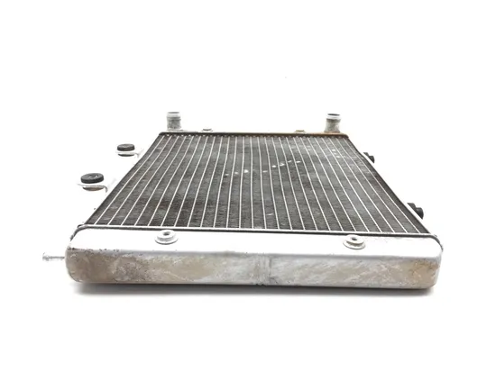 Engine Radiator Cooling 2008 Polaris RZR 800 EFI 2822A x