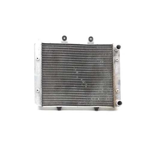 Engine Radiator Cooling 2008 Polaris RZR 800 EFI 2822A x 3