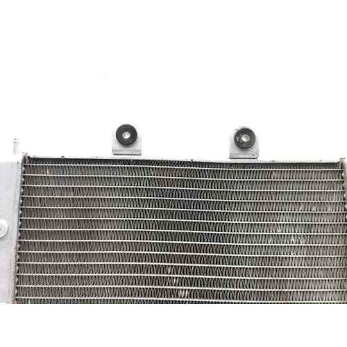 Engine Radiator Cooling 2008 Polaris RZR 800 EFI 2822A x 7
