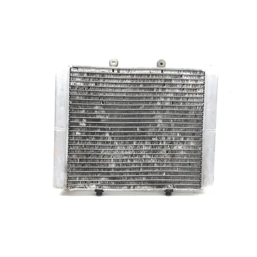 Engine Radiator Cooling 2008 Polaris RZR 800 EFI 2822A x 17