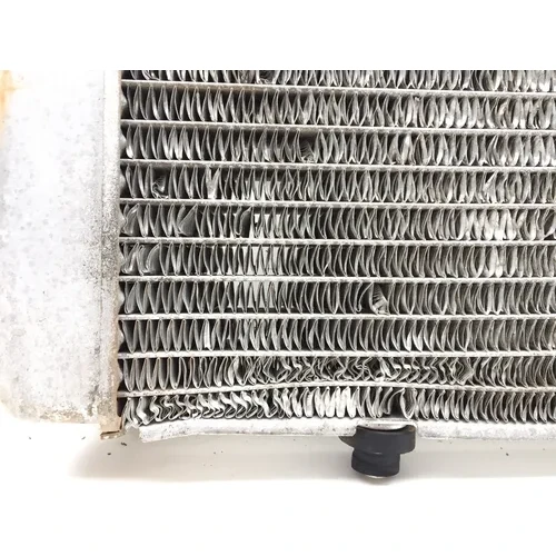 Engine Radiator Cooling 2008 Polaris RZR 800 EFI 2822A x 19