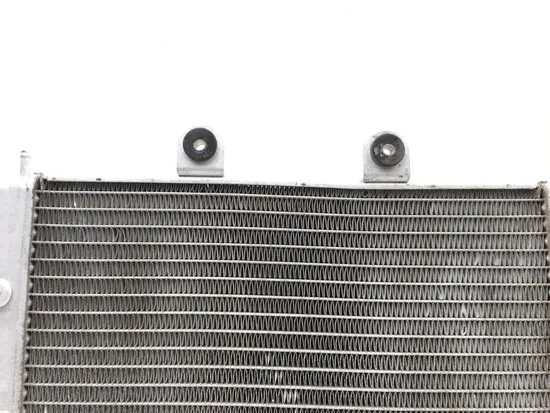 Engine Radiator Cooling 2008 Polaris RZR 800 EFI 2822A x