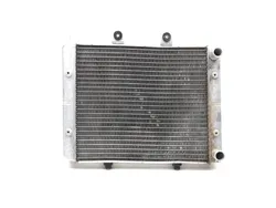 Engine Radiator Cooling 2008 Polaris RZR 800 EFI 2822A x