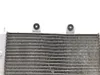 Engine Radiator Cooling 2008 Polaris RZR 800 EFI 2822A x