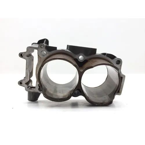 Engine Cylinder Jug W Piston 2015 Polaris Ranger XP 900 EPS 2819A x 22