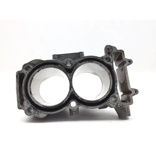 Engine Cylinder Jug W Piston 2015 Polaris Ranger XP 900 EPS 2819A x 17