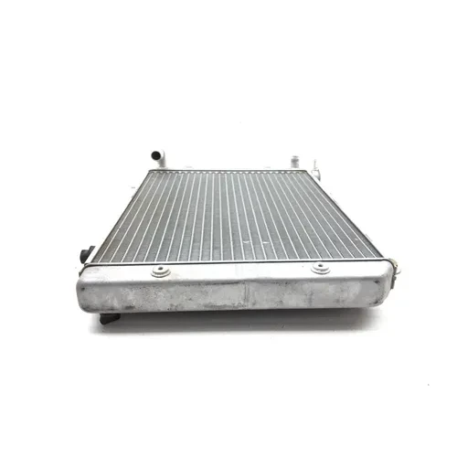 Engine Radiator Cooling 2005 Polaris Ranger 500 2x4 2870A 12