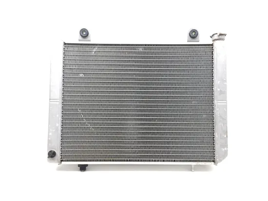 Engine Radiator Cooling 2005 Polaris Ranger 500 2x4 2870A