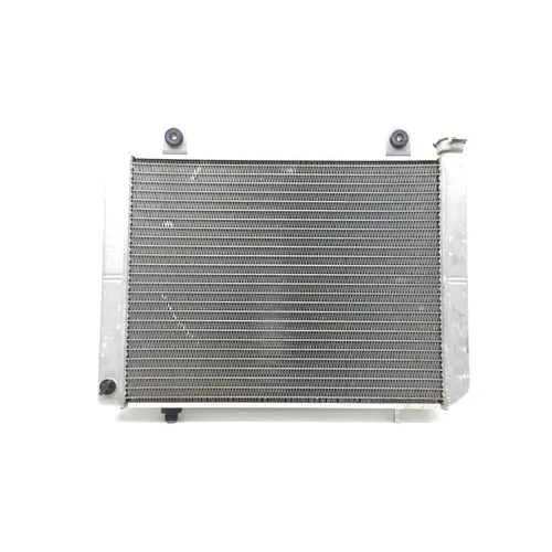 Engine Radiator Cooling 2005 Polaris Ranger 500 2x4 2870A 3