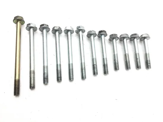 Upper Lower Center Cases Case Bolts 2001 Honda Interceptor 800 VFR800F 2873A